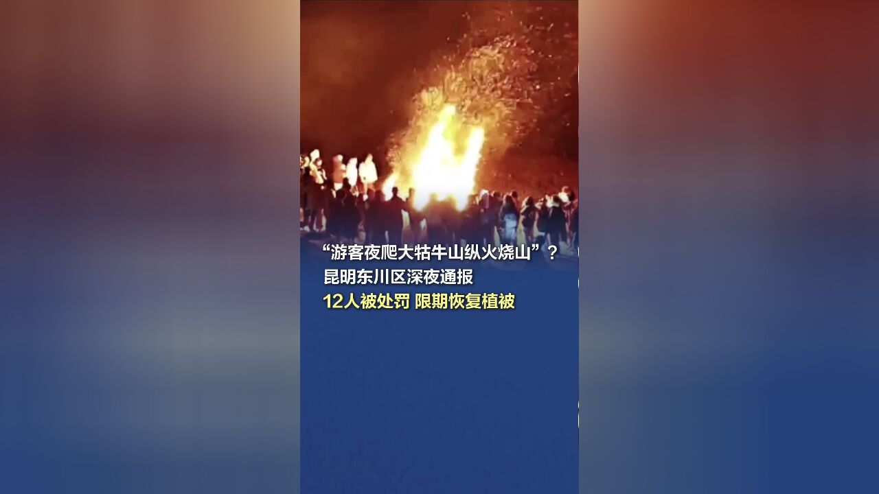 昆明东川区通报“大牯牛山游客野外生火”:12人被处罚,并限期恢复植被