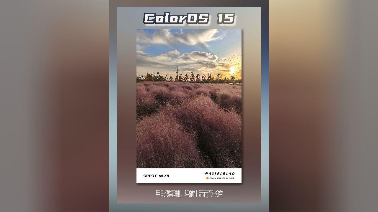 ColorOS 15:用影像笔触,绘就生活诗意长卷!