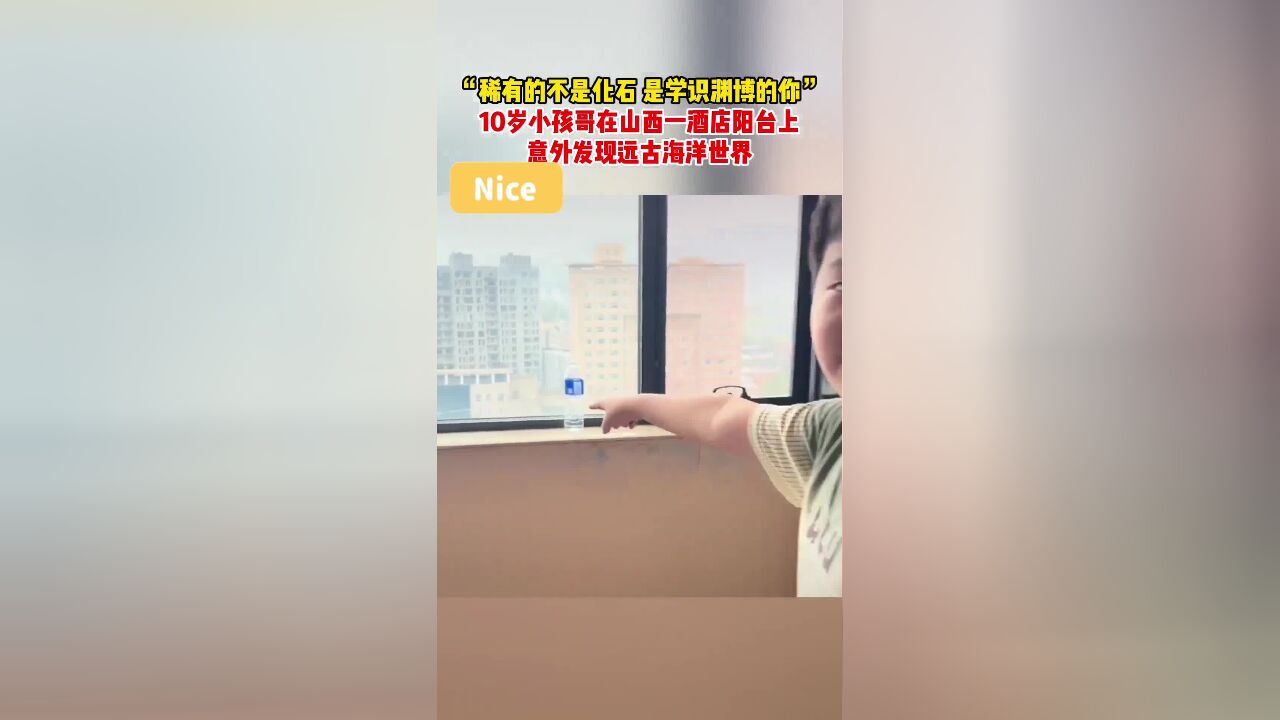 “稀有的不是化石,是学识渊博的你”,10岁小孩哥在山西一酒店阳台上意外发现远古海洋世界.