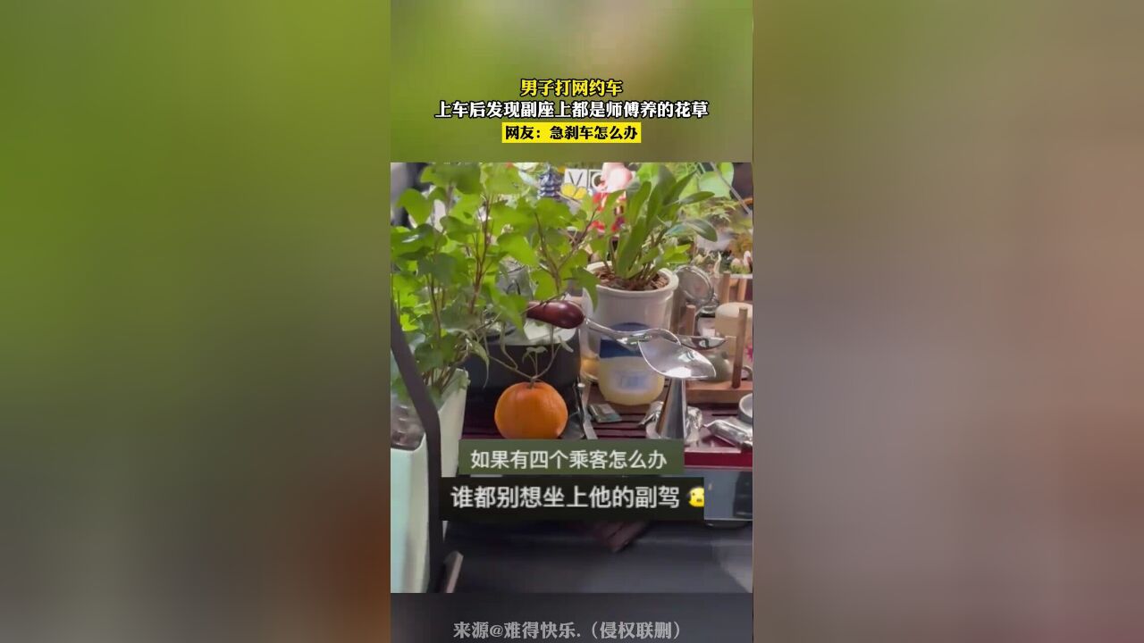 男子打网约车,上车后发现副座上都是师傅养的花草,网友:急刹车怎么办