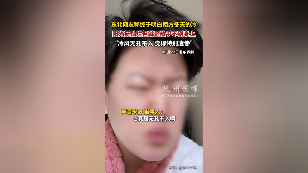 东北网友称终于明白南方冬天的冷,阳光挺灿烂但就是热乎不到身上