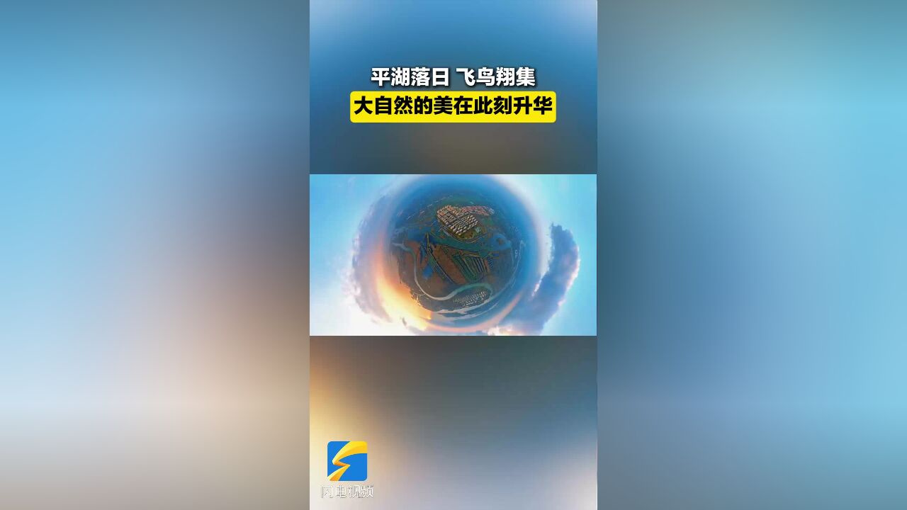 平湖落日飞鸟翔集 大自然的美在此刻升华