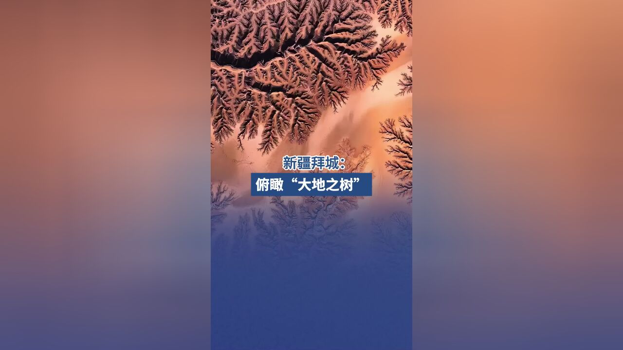 新疆拜城:俯瞰“大地之树”