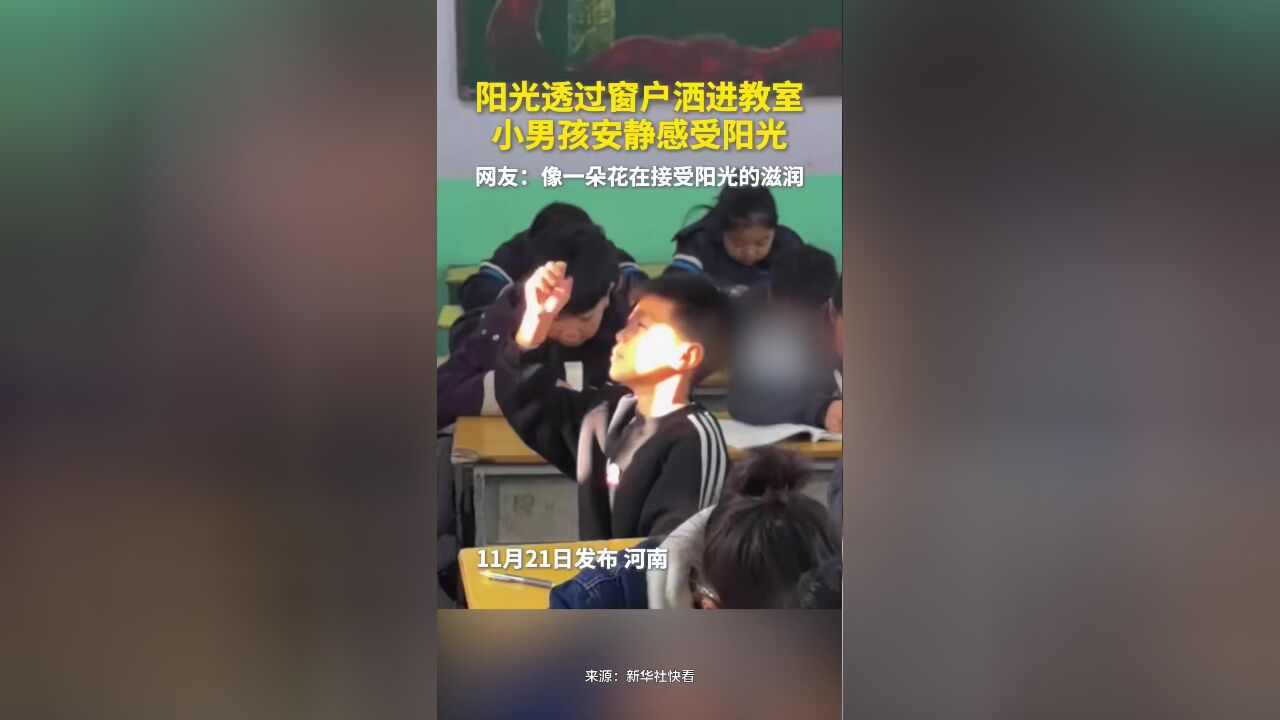 好治愈的画面!阳光透过窗户洒进教室,小男孩安静感受阳光