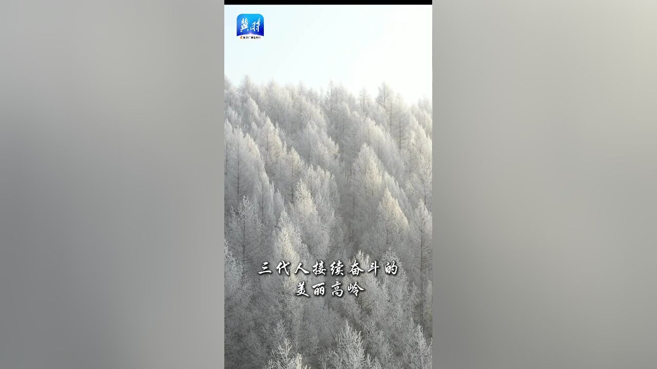 塞罕坝迎来今冬绝美雾凇,解锁冬季限定风景 #最美中国