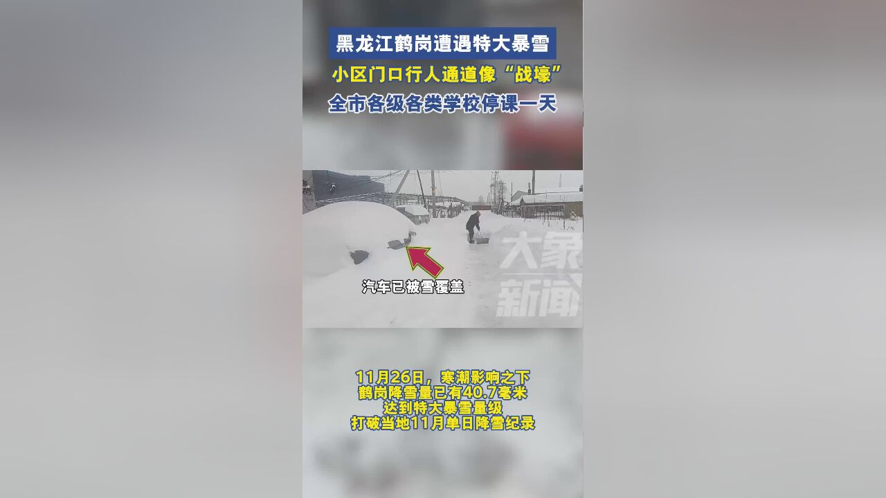 黑龙江鹤岗遭遇特大暴雪 小区门口行人通道像“战壕”