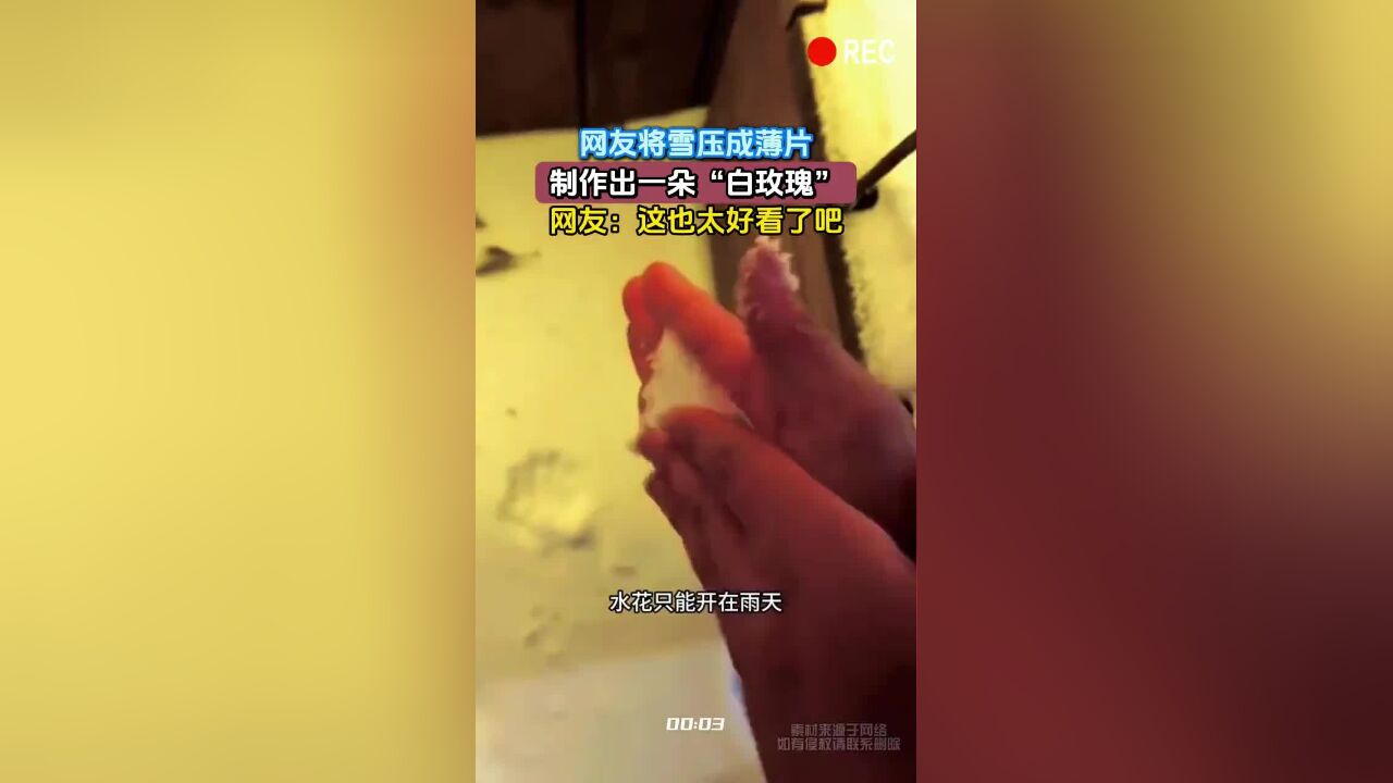 网友将雪压成薄片,制作出一朵“白玫瑰”