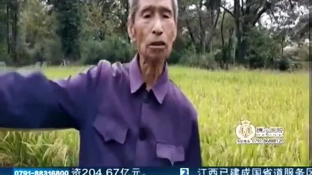 抚州广昌:农田干旱村民着急 排灌站不给力谁来管到位?