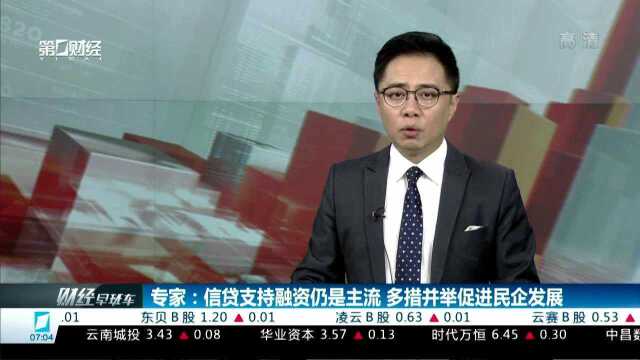 专家:信贷支持融资仍是主流 多措并举促进民企发展