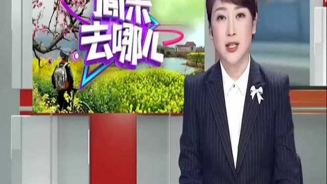 郴州资兴:雾漫小东江美不胜收 夏日绝佳“天然氧吧”