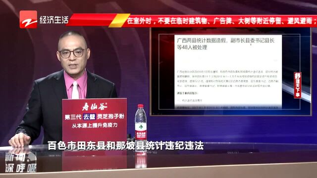 广西两县统计数据造假 副市长等48人被处理