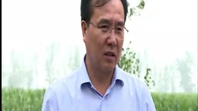 李会良到张官营镇察看暴雨灾情 指导救灾工作