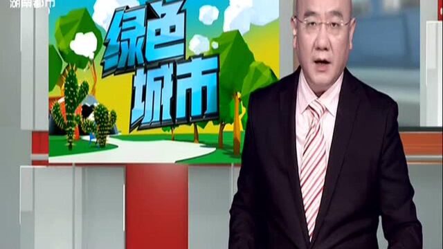 长沙八部门合力助推城市“绿色建筑”发展:2020年1月起 新建民用建筑按“绿色”标准施工