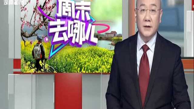 郴州资兴:东江湖龙景峡谷瀑布群 宛如天然水冷空调