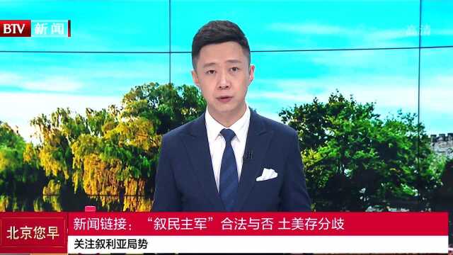 关注叙利亚局势 新闻链接:“叙民主军”合法与否 土美存分歧