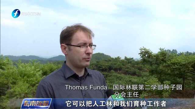 国际林联专家考察光泽华桥国有林场种子园