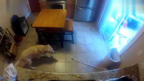 Thumbplayer Poster Plugin Image