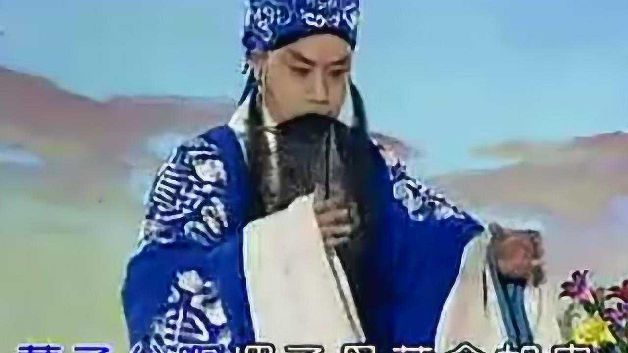 Thumbplayer Poster Plugin Image