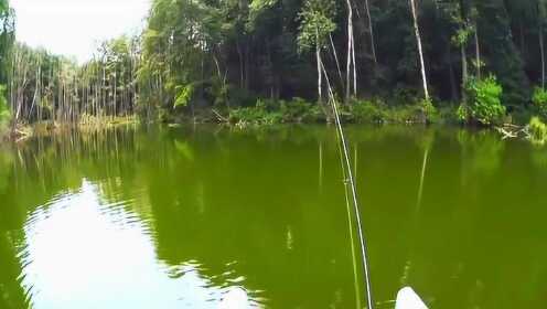 钓鱼：原来真的有一箭双雕！ - 腾讯视频