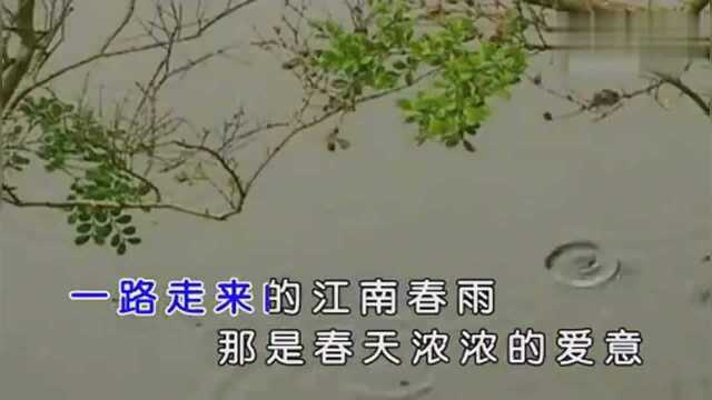 一首《江南春雨》好听至极