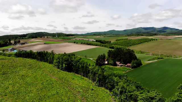 田园风景,自然风光,美!