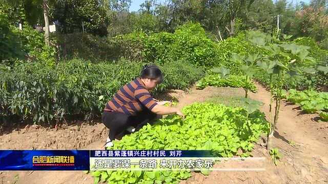 国家扶贫日里话脱贫 办起“农家乐” 走出脱贫路