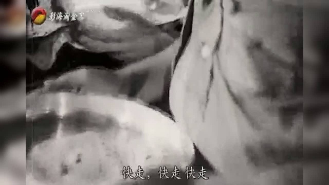 1951印度老电影《流浪者》电影原声插曲《拉兹之歌》