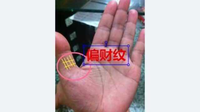 手相命理:大拇指上的这种纹路,是众多手纹里罕见的“夫子眼”!