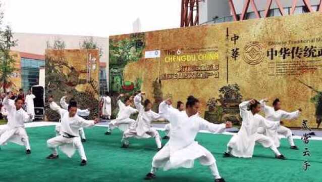 观看非遗文化节中武当武术表演,拳械套路齐全