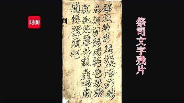 探寻巴人文字之谜——四川宣汉已发现收录5317个巴人文字