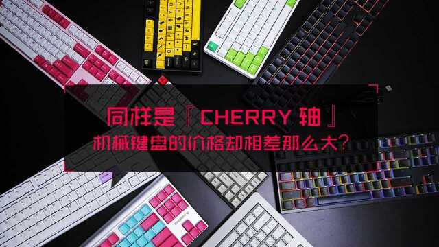 同样是Cherry轴,机械键盘的价格却相差那么大