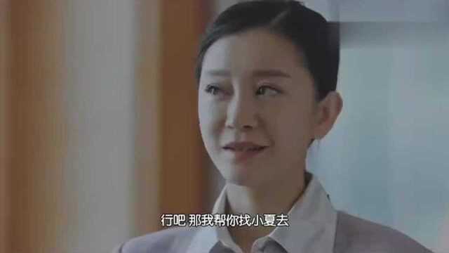 《正阳门下小女人》徐静平决定插手徐贺两家的事,贺丽霞不看好