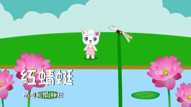 妮妮猫儿歌 红蜻蜓 少儿益智早教启蒙开智卡通趣味歌曲