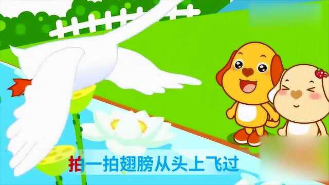 亲宝儿歌:鹅鹅鹅曲项向天歌 鹅之歌 经典儿歌大全