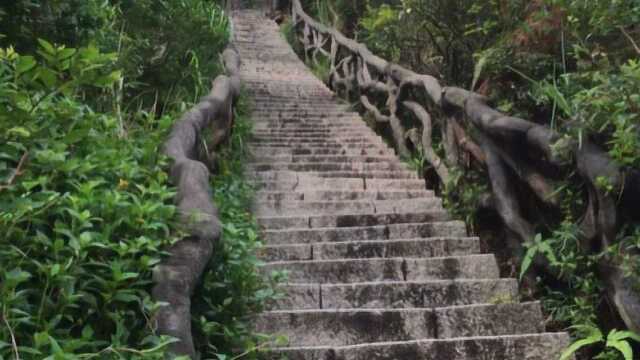 猜猜深圳梧桐山有几个素食餐厅