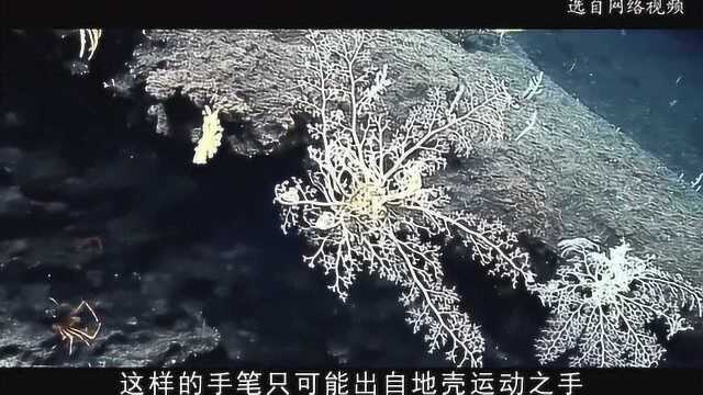 【地理大师】地球表面的板块——追踪洋底最深处