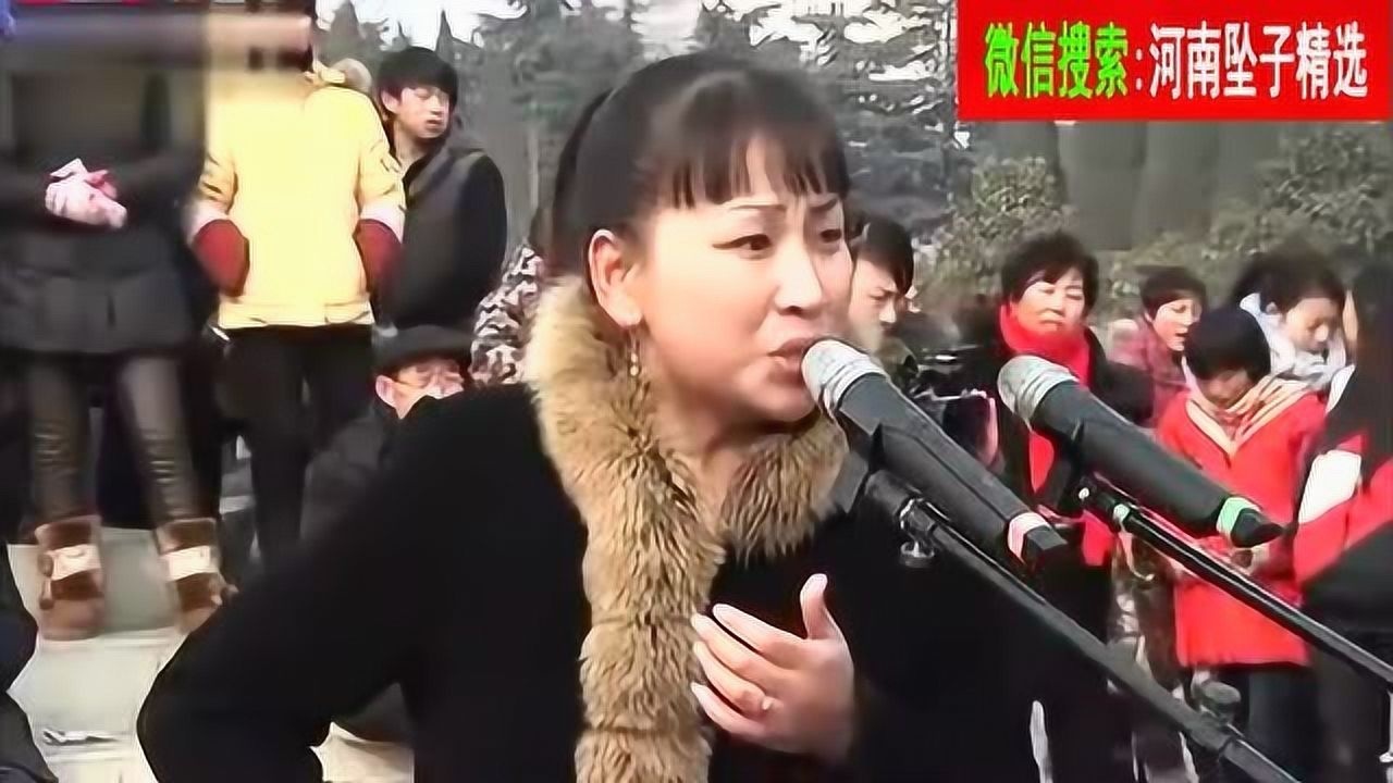 河南坠子胡中花拉荆芭听着舒坦