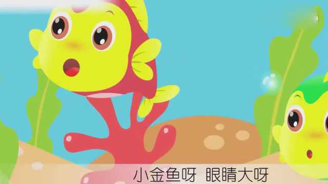 幼儿园小朋友早教儿歌欣赏:可爱《小金鱼》,宝宝喜欢的小动物!