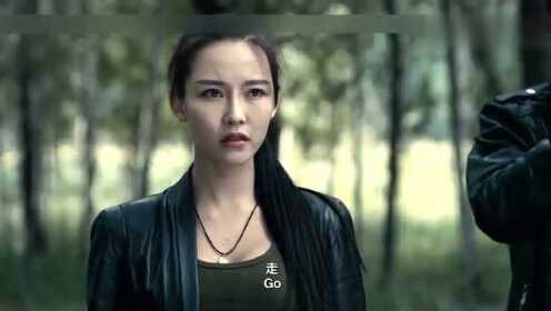 Thumbplayer Poster Plugin Image