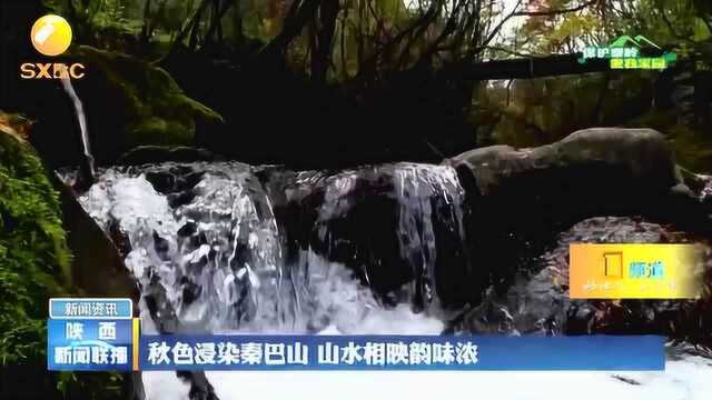 秦岭秋之韵:秋色侵染秦巴山 山水相映韵味浓