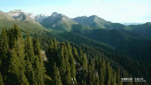 新疆天山世界自然遗产喀拉峻风景区