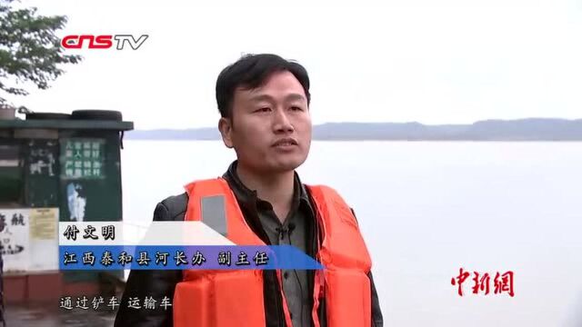 江西赣江水域出现水葫芦多地打捞防入鄱阳湖