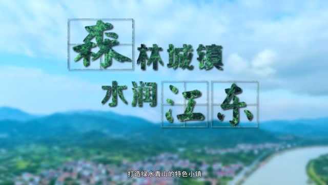 江东创森工作纪实