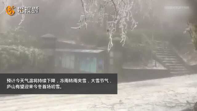 庐山今冬首次冰冻天气现雨凇景观 预计冻雨将转雨夹雪