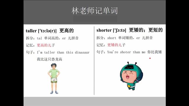 小学英语一对一英语记单词taller更高的、shorter更矮的