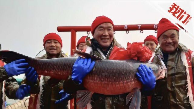 安徽颍上县冬捕文化旅游节开幕 “头鱼”拍得88万