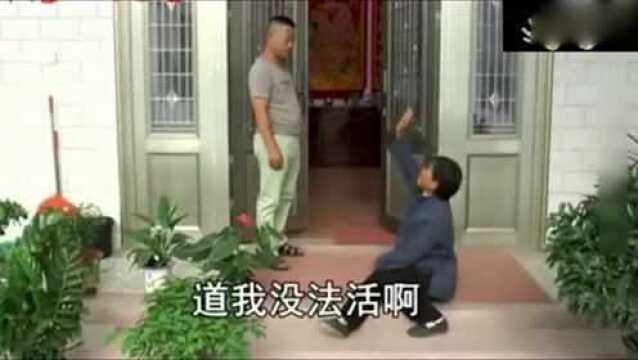 母亲和儿子生活的故事