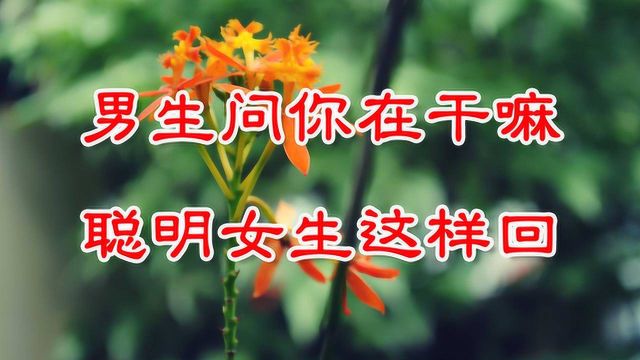 当男生微信问你:在干嘛?高情商女人会是这样回复!