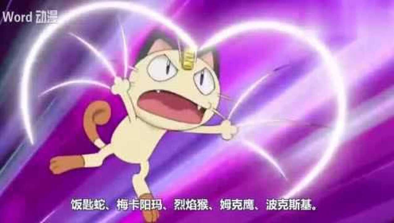神奇宝贝火箭队的喵喵深藏不露发情期的时候超强的