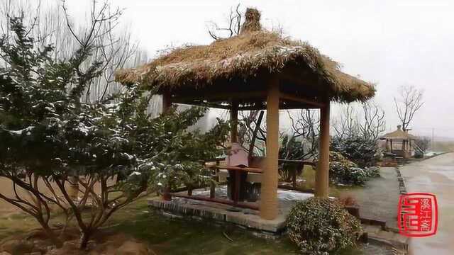 踏雪寻梅走进开封美丽乡村西姜寨,住茅屋、推石磨品味别样农耕文化